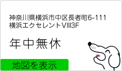 神奈川県横浜市中区長者町6-111 横浜エクセレントVIII3F